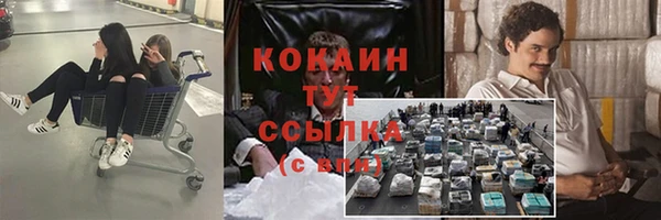 ГАЛЛЮЦИНОГЕННЫЕ ГРИБЫ Алексеевка