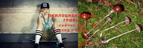 ГАЛЛЮЦИНОГЕННЫЕ ГРИБЫ Алексеевка