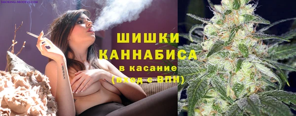 ГАЛЛЮЦИНОГЕННЫЕ ГРИБЫ Алексеевка